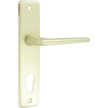 Aluminium-anodisiertes Champagner-set Mit Schlüssel I – Zylinder