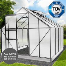 Brast - Gewächshaus Aluminium mit Fundament rostfrei tüv geprüft 6mm Platten 250x250x205cm Grau
