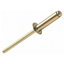 Forgefix - Aluminium Rivets 3.2 x 8MM Bag of 100