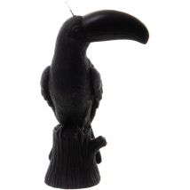 Amadeus - Bougie toucan noir