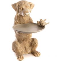 Amadeus - Chien coupe
