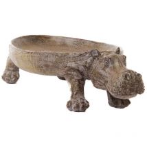 Amadeus - Hippo coupe