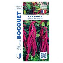 Amarante queue de renard - 5g