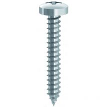 Vite autofilettante tc zincata mm. 4,8x19 (5 centinaia) - Ambrovit