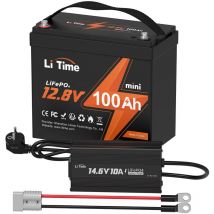 Litime - 12V 100Ah mini Batterie Lithium LiFePO4 & 12V 10A Lithium Chargeur de batterie (Expédition en Deux Colis)