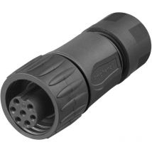 Amphenol - C016 20D003 110 12 Rundstecker Kupplung, gerade Gesamtpolzahl: 3 + pe Serie (Rundsteckverbi