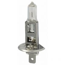 Ampoule 12 v 55 w h 1 (Lot de 5 )