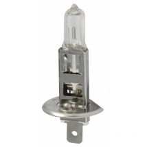 Ampoule 24 V 70 W H 1 (Lot de 2 )