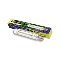 Ampoule horticole HPS 250W E40 – 32000 lumens – Dual Spectrum – Jardin