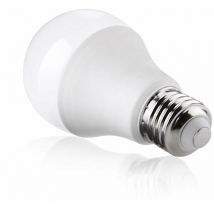 Ampoule led E27 20W 220V A80 - Blanc Chaud 2300K - 3500K Silamp