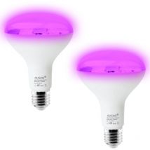 Ampoule Fluorescente uv Violet/Noir - Lot de 2 (15W, 85265V) pour Éclairage de Scène