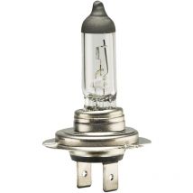 Ampoule H7 12V 55W PX26d