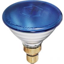 Ampoule halogène pour effet lumineux Eurolite Par-38 fl blau 230 v E27 80 w n/a à intensité variable