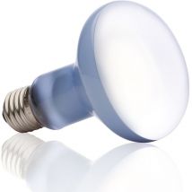 Daylight basking spot ampoule 100 w Exo Terra PT2133