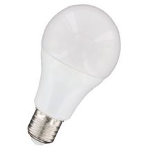 Ampoule led 12W ronde globe A60 culot vis E27 blanc chaud 3000K 1050lm 230V non-dimmable usage domestique Nityam LDB-12W-940