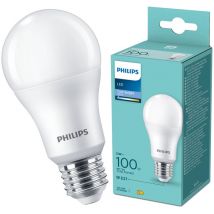 Ampoule LED 13W A60 E27 froid 6500K CDL FR ND 1PF/6 DISC