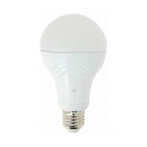 Ampoule led A70, culot E27, 15W cons. (100W eq.), lumière blanc froid - ME1521GPW - Xanlite