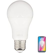 Kozii - Ampoule led connectée éclairage blancs + couleurs, E27 A60 Opaque 9W - KE806GRVBCCT