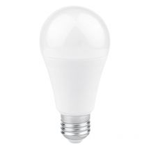 Ampoule LED E27 12W A60 blanc chaud WOLTZ