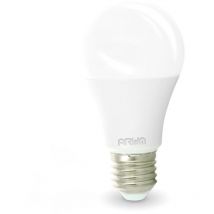 Ampoule led E27 14W Eq 100W Température de Couleur: Blanc chaud 2700K