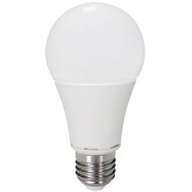 Ampoule led Globe E27 - 8W