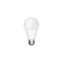 Ampoule led froide standard matel e27 12w 125v