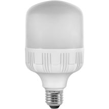 Fox Light Ampoule Led- Haute Puissance E27 30w 200° 3000k 2600lm