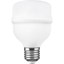 Ampoule led industrielle puce Matel samsung e27 20w froide