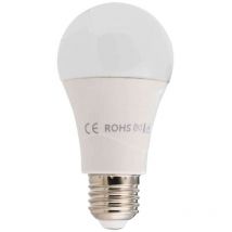 Led E27 standard - 14W blanc froid