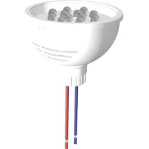 Mzcl5012564 Ampoule Led Blanc 24 V/dc, 24 V/ac 27000 Mcd - Signal Construct