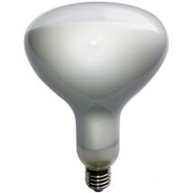 Ampoules Marino Cristal eco-r125 filoled 12w e27 2700k 21664