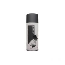 Aérosol Couleur Ardoise Mat (BPA001) 0,330 l - AMT
