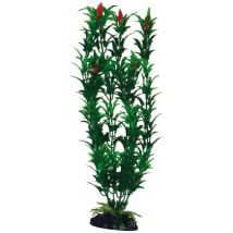 Set 6 Pezzi Plant Classic Egeria Flowers Bicolou Small