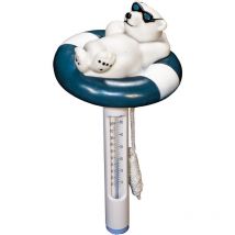 Termometro galleggiante dell'orso.