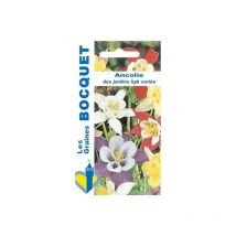 Ancolie des jardins variée - 0,4g