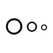 Anelli o' ring 10.5 x 2.7 mm (Pz.100)