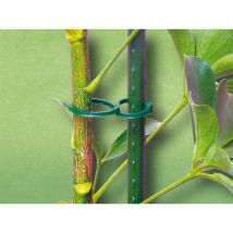 Anillos de fijación