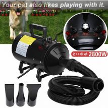 Dayplus - animal de compagnie Séchoir pour chiens avec 4 buses Séchoir pour chats Séchoir pour chiens Coiffure