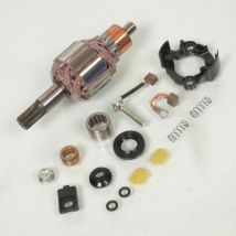 Anlasser-reparatursatz Für Motorrad Honda 450 Crf-x 2005