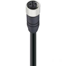 Belden - 15735-1 Sensor-/Aktor-Datensteckverbinder, konfektioniert M12 Buchse, gerade 2.00 m Polzahl s
