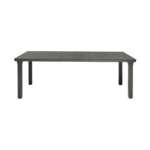 Anthrazit Tisch für 3 170/195/220x100xh.75