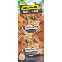 Ameisenbekämpfung in Box mit Köder 2 Stück