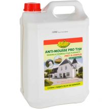 Anti-muffa pronto all'uso 5L