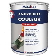 Antirouille Couleur - Pot 1 l - 7033 - Gris ciment Metaltop