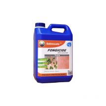 Antischiuma Professionale Fungicida Batimouste Uc Ultra Concentrate - 5 Litro - 140005