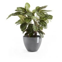 Antwerp 30 Vaso Rotondo Grigio - ø 30 x h. 25,5 cm - 11,4 l Ecopots
