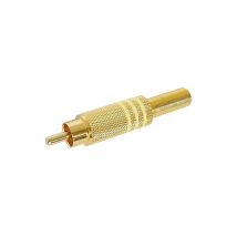 Fiche rca male dore - jaune
