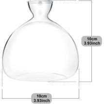 Anzuchtset Für Eicheln: Vase, Terrarium, Topf, Dekoratives Glasgefäß Für Die Eichelnzucht, Anzuchttöpfe Für Blumenzwiebeln. Eicheln Zu Hause Anbauen