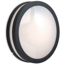 Firstlight Zenith - 1 lámpara colgante de pared / empotrada en el techo, grafito, difusor de ópalo IP54, E27