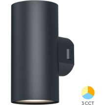 Braytron - Applique extérieure VEKTA-D2 noir 2x9W 3en1 IP65